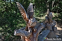 VBS_4731 - Il bosco fatato - Montaldo Roero